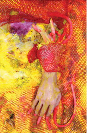 Hand in Netz, 2005